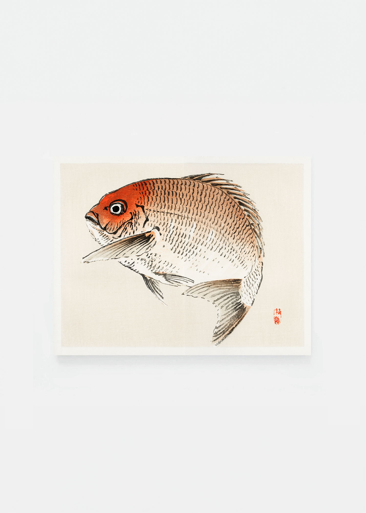 Tai