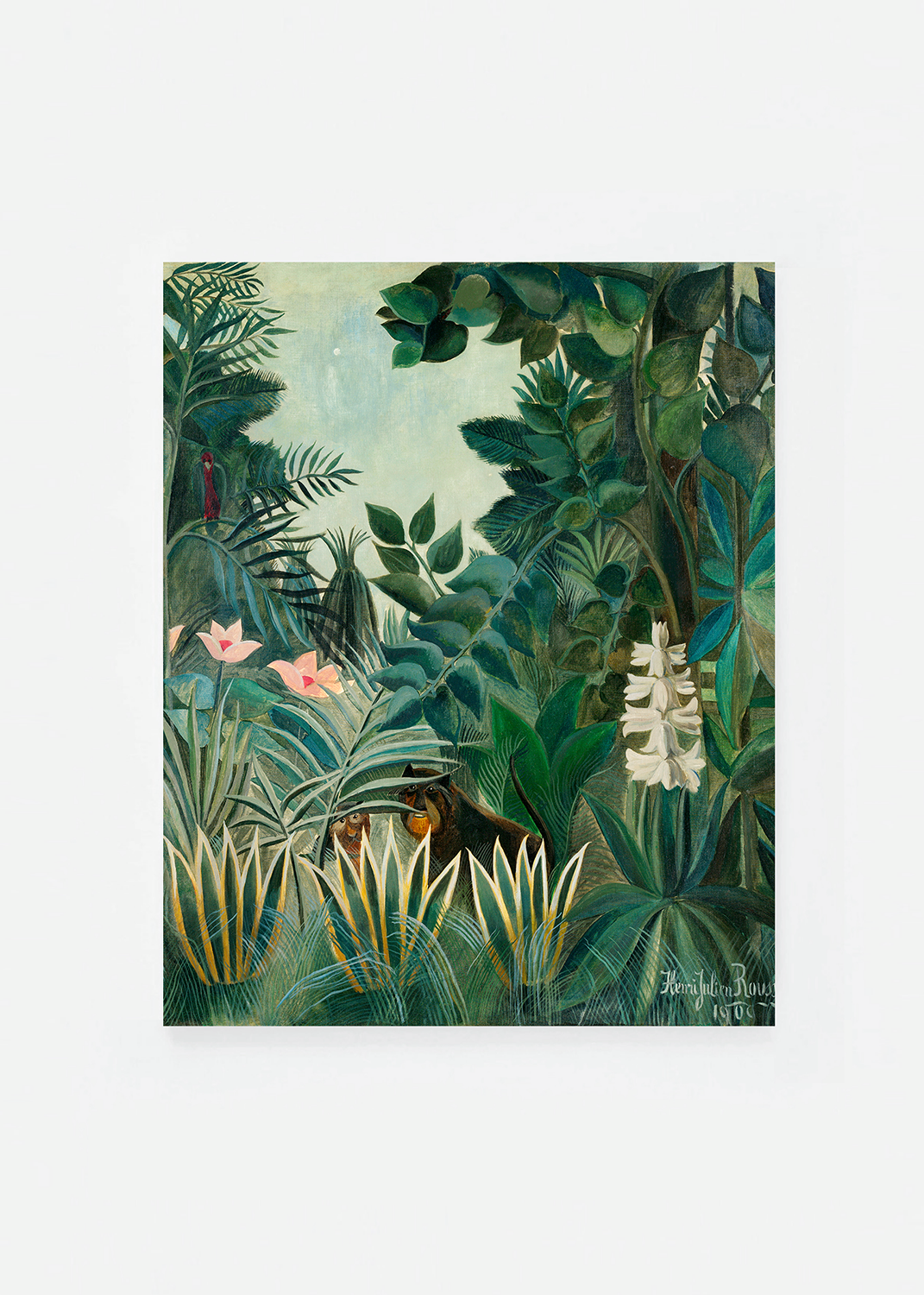 The Equatorial Jungle