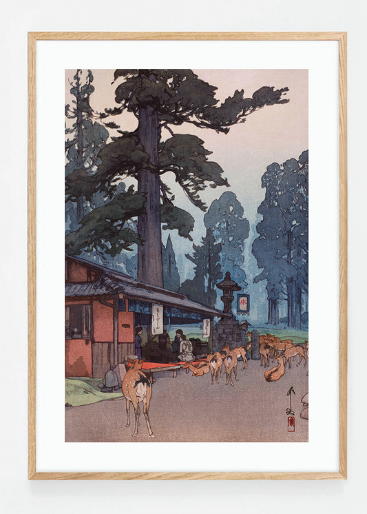 The Way To The Kasuga Shrine