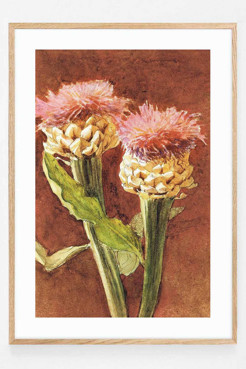 Thistle