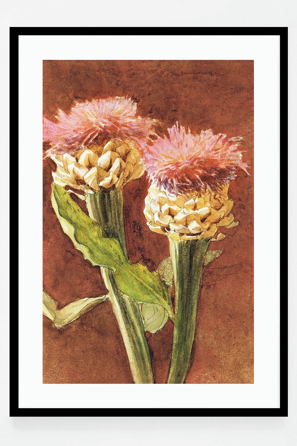 Thistle