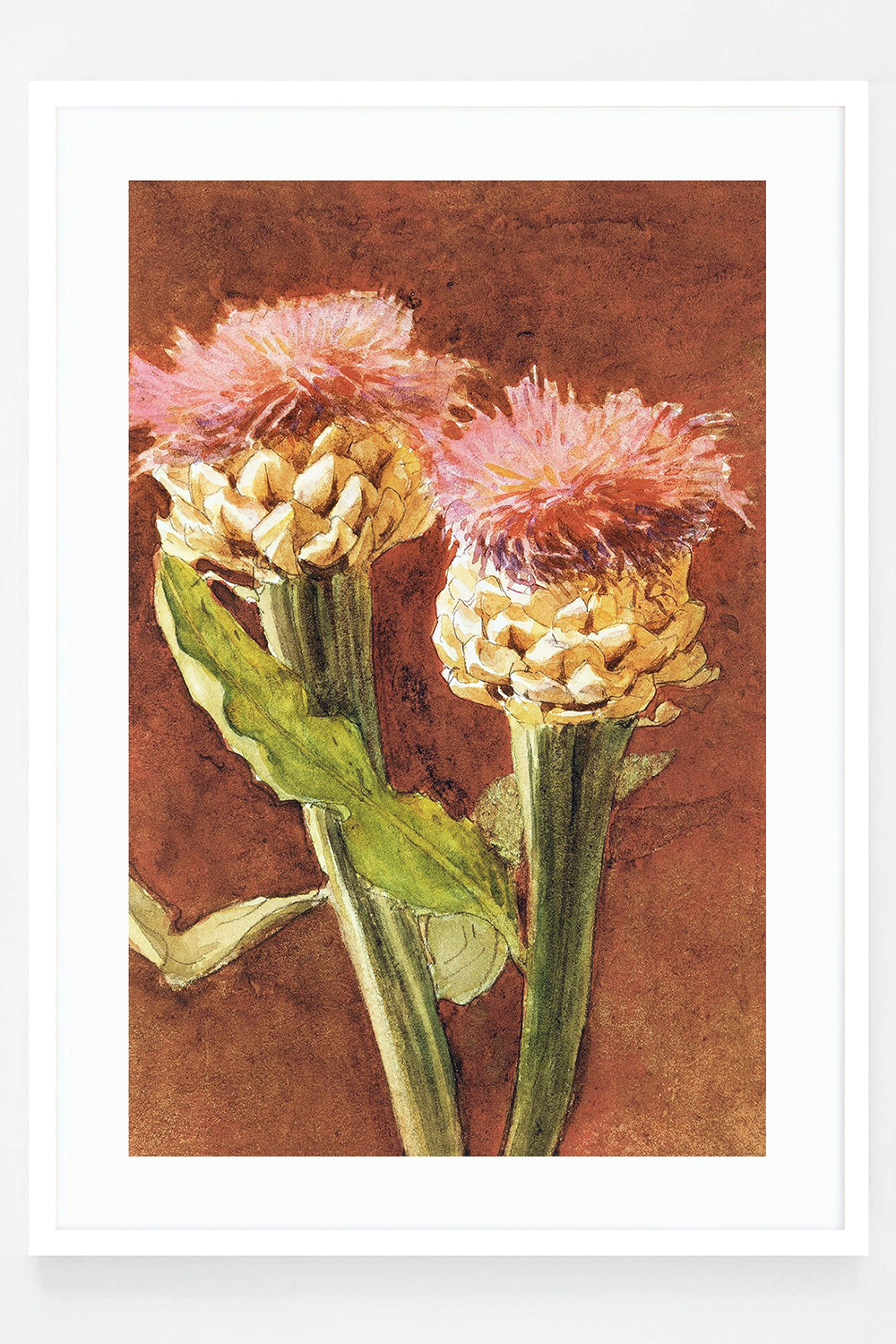Thistle