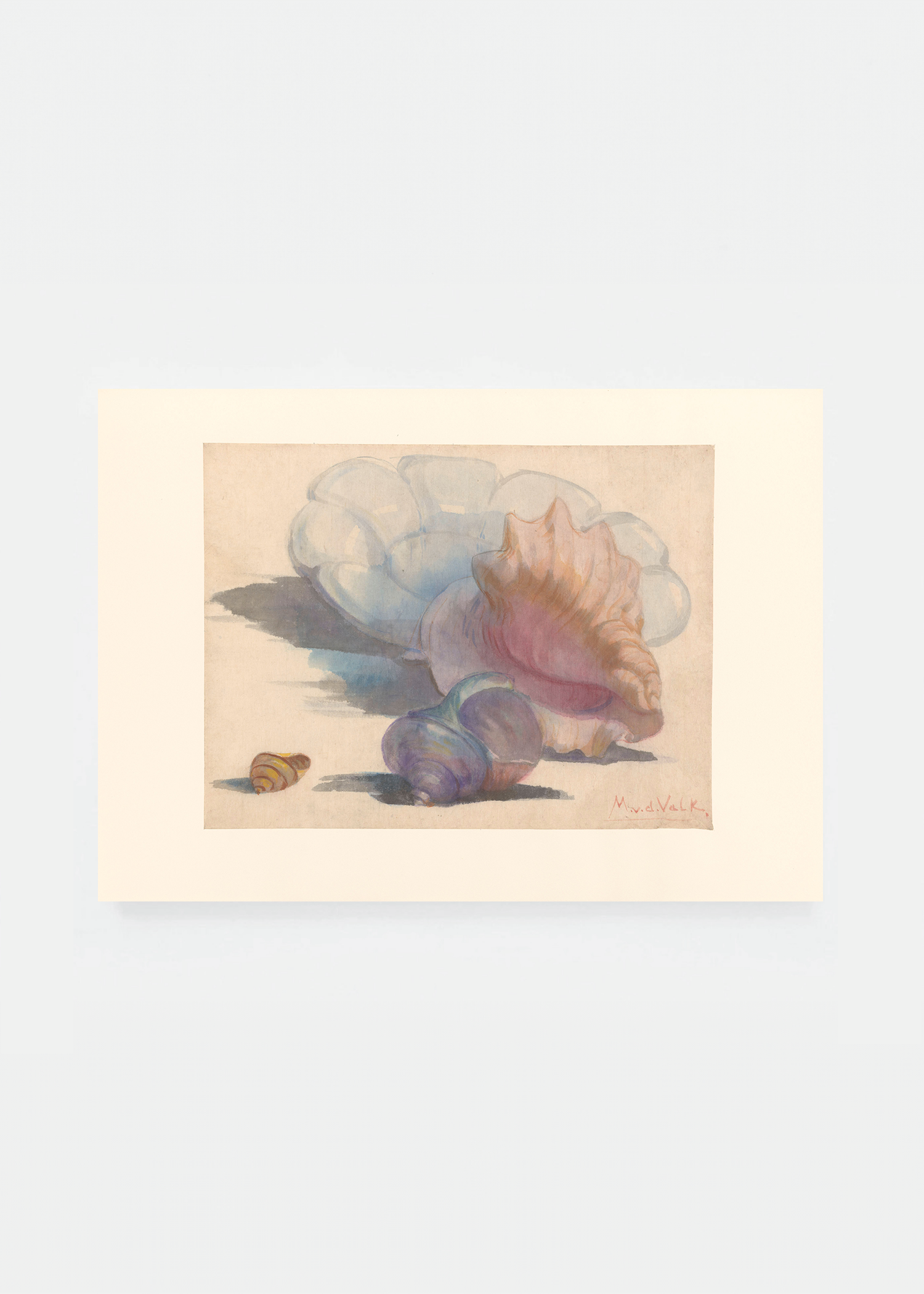 Three shells with a Delft folding dish