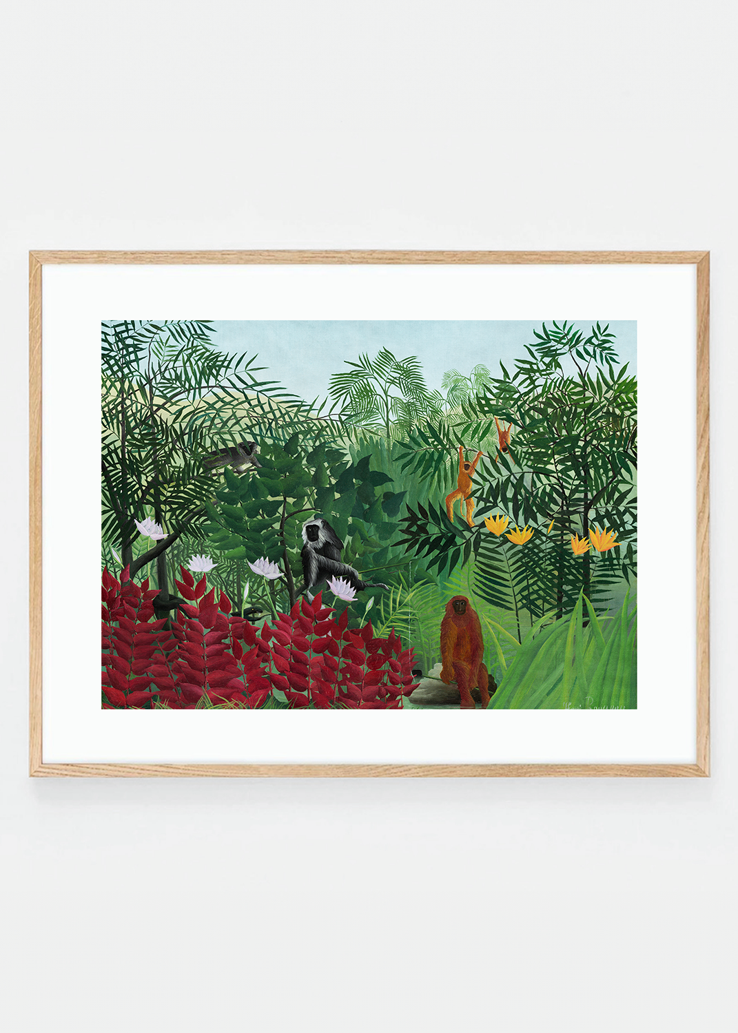 Tropical Forest with Monkeys