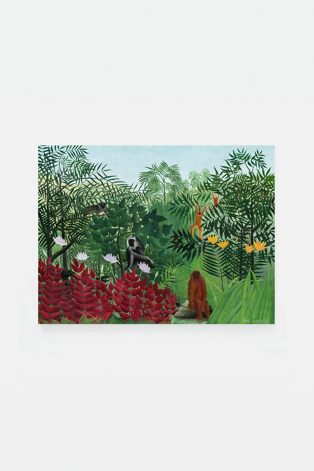 Tropical Forest with Monkeys