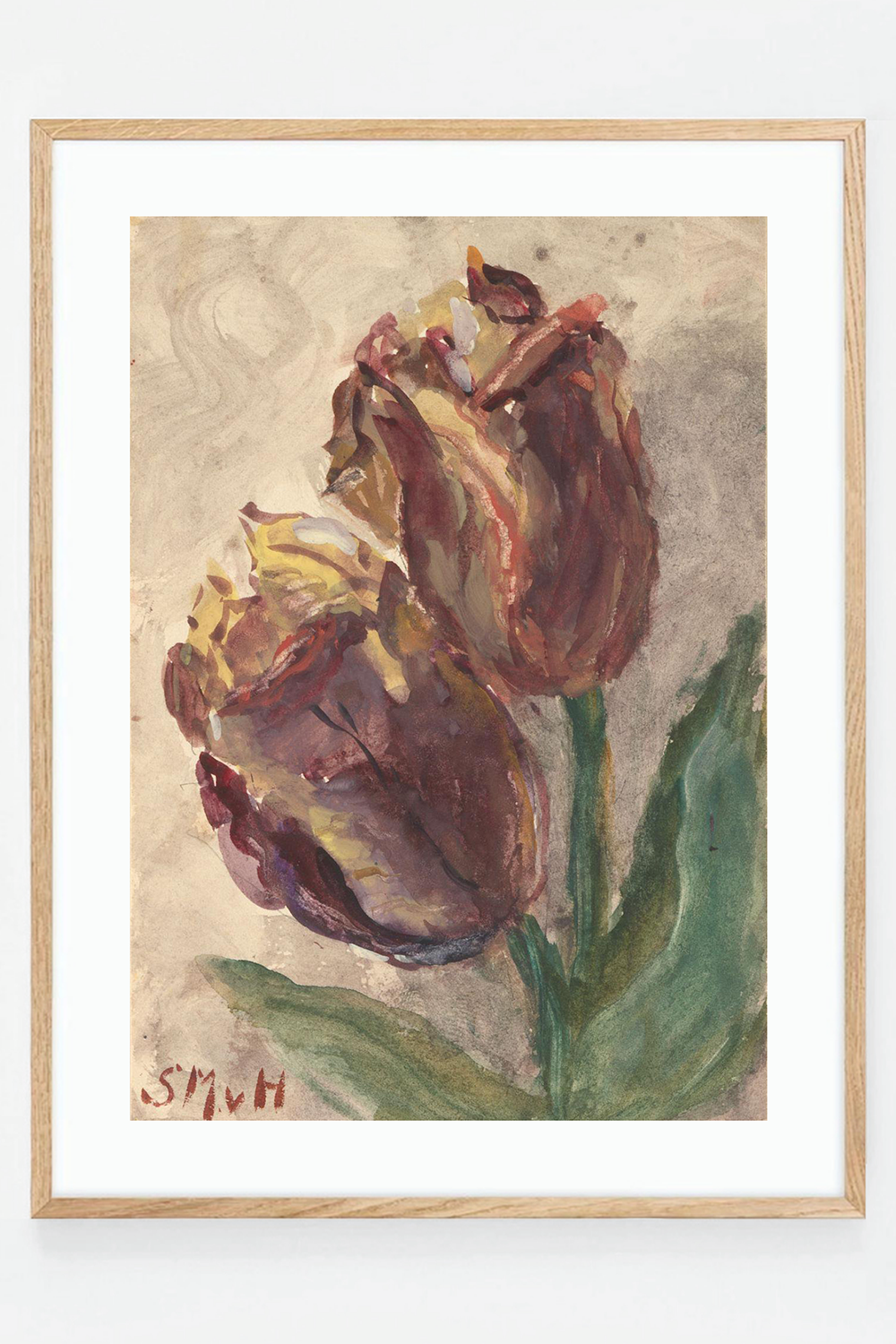 Tulip II