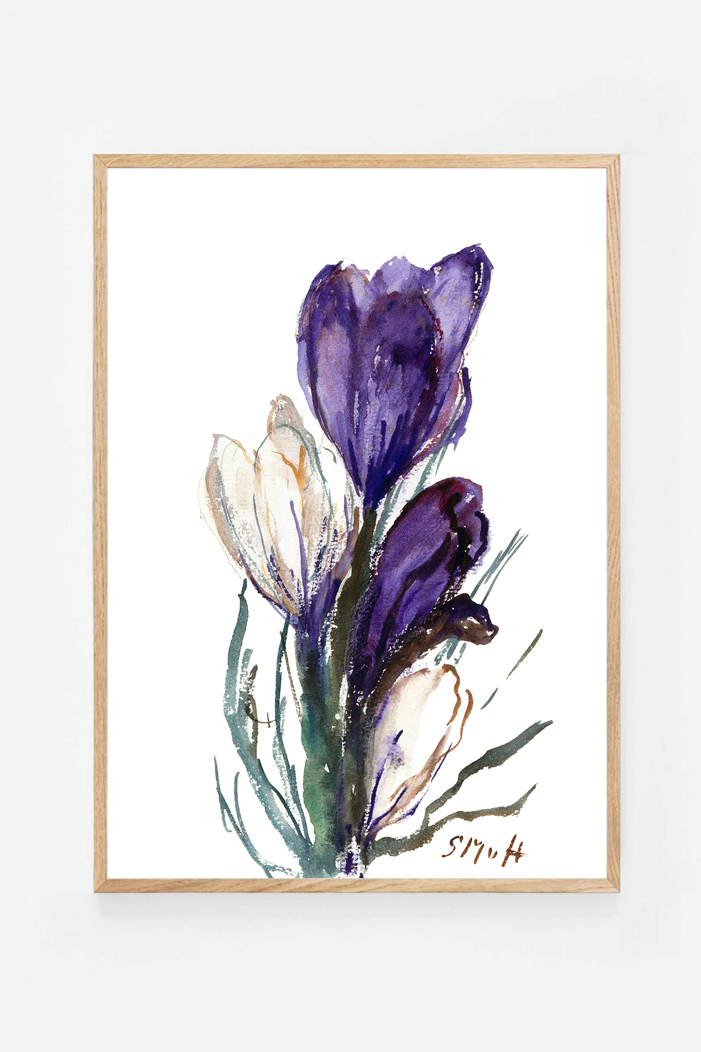 Tulip III