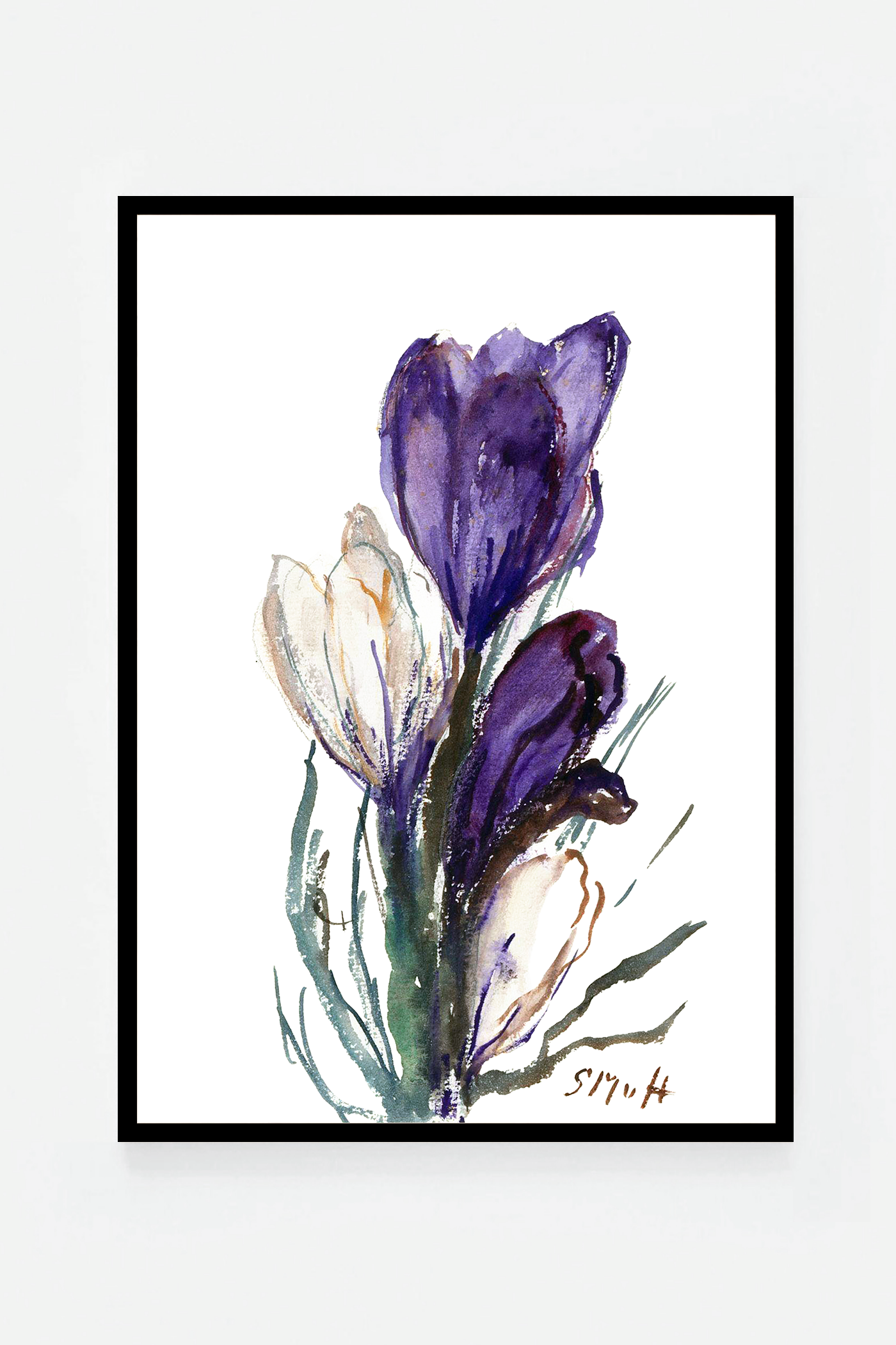 Tulip III