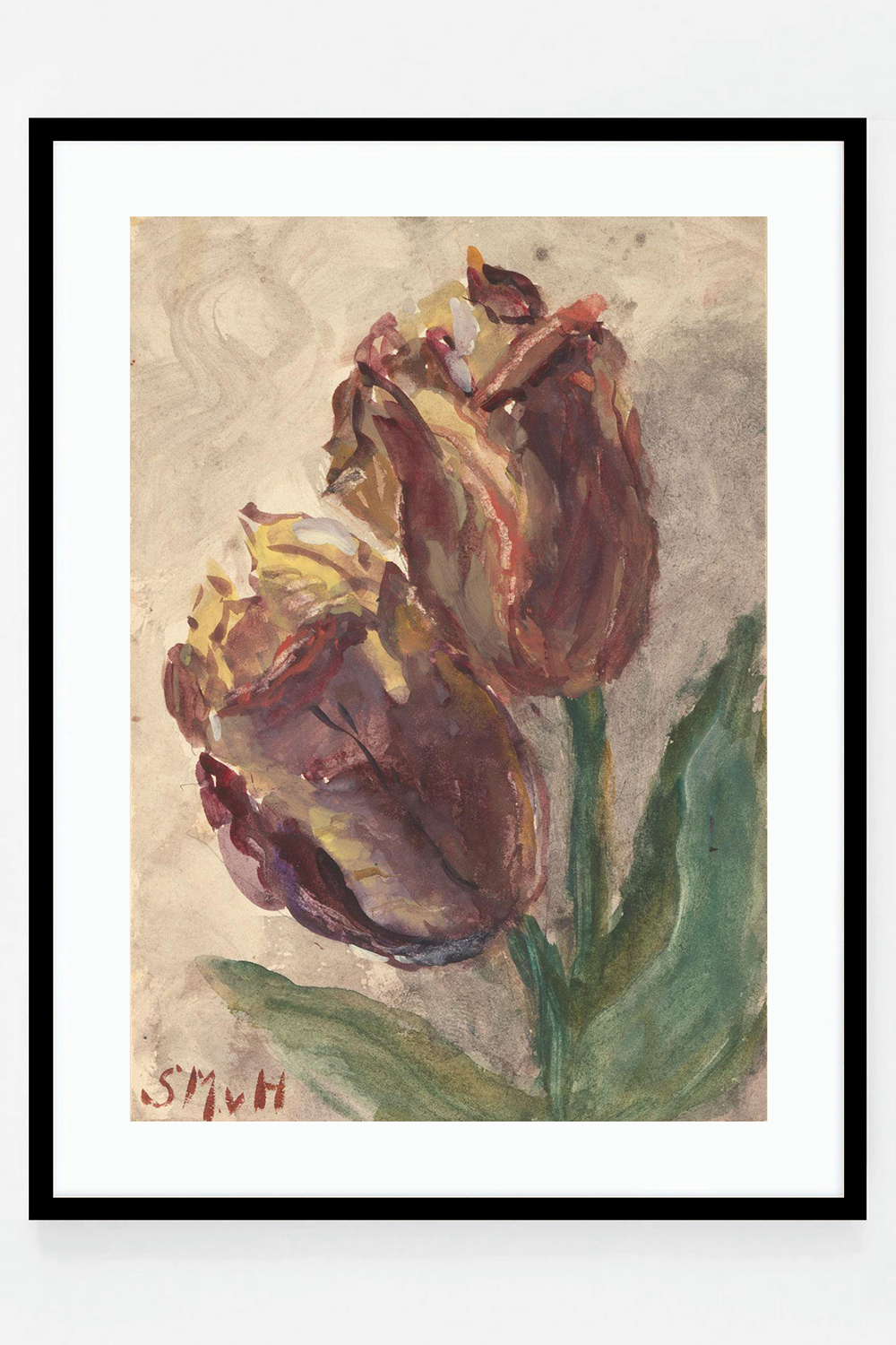 Tulip II