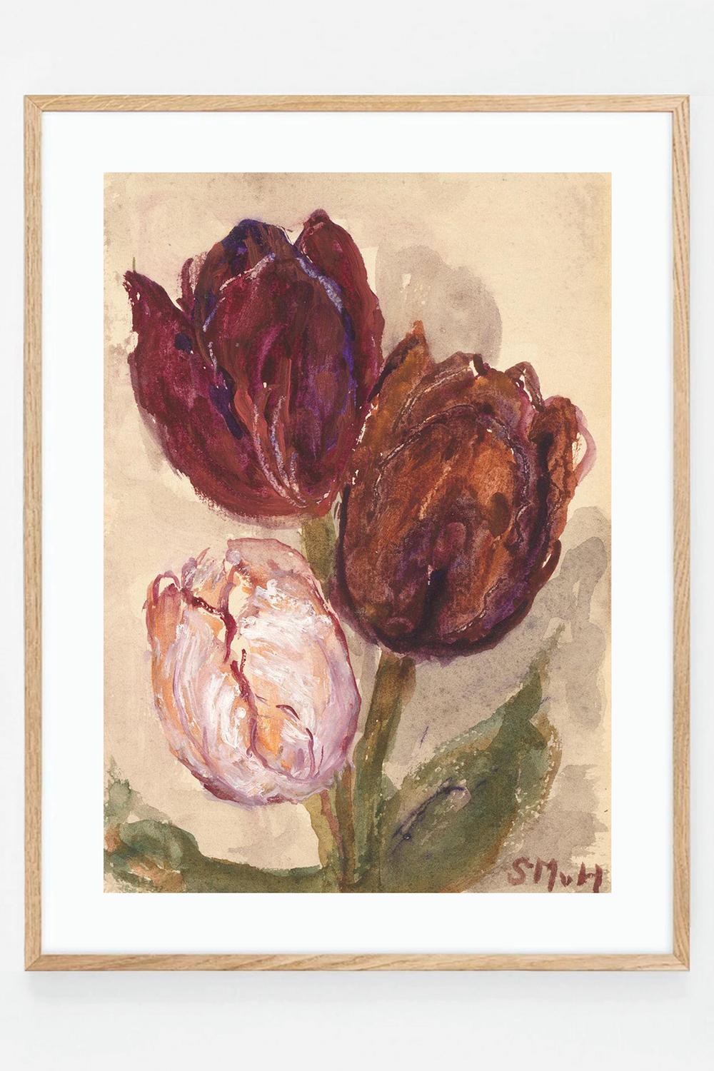 Tulip IV