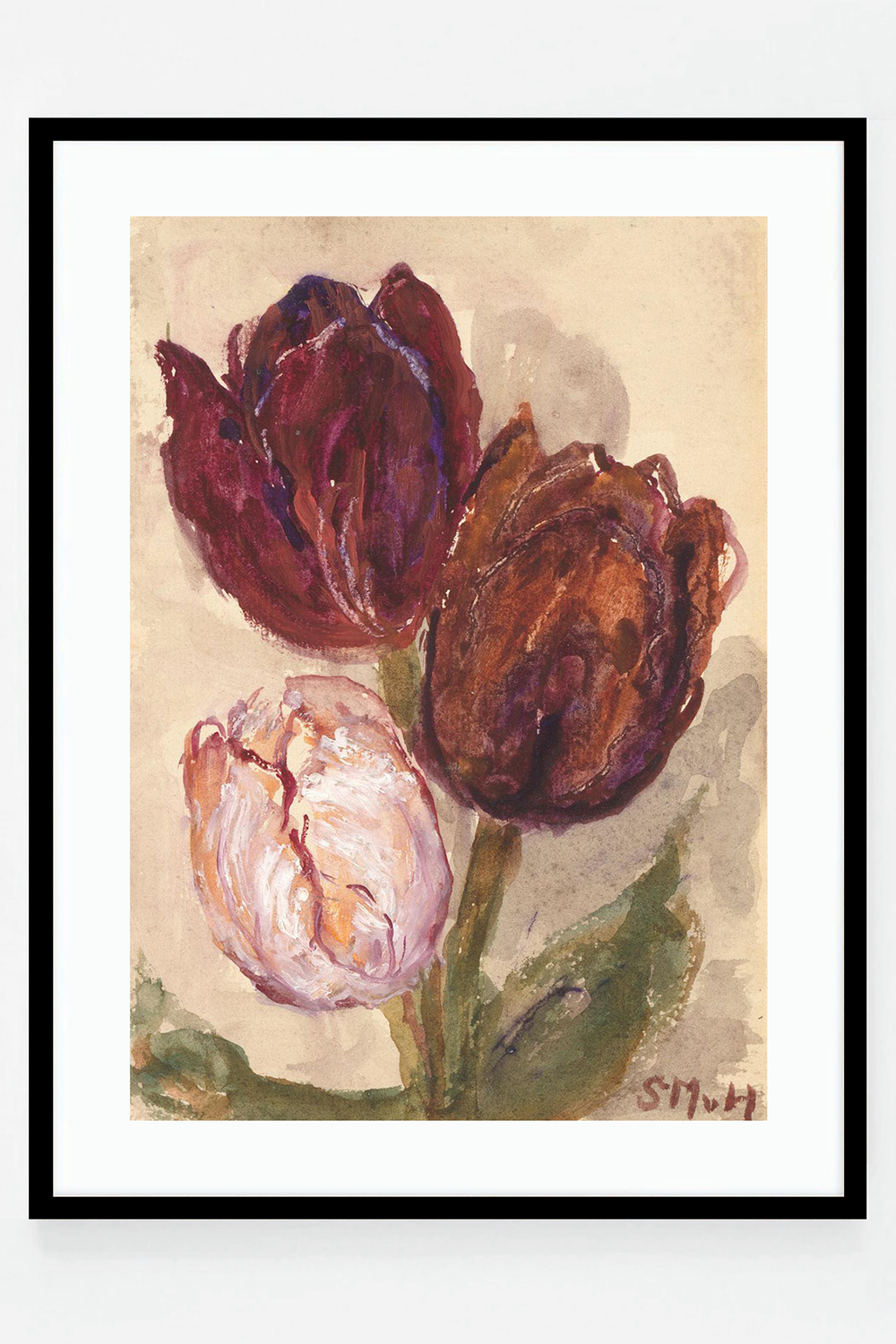 Tulip IV