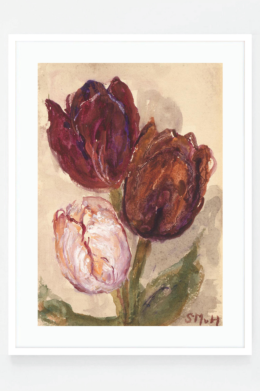 Tulip IV