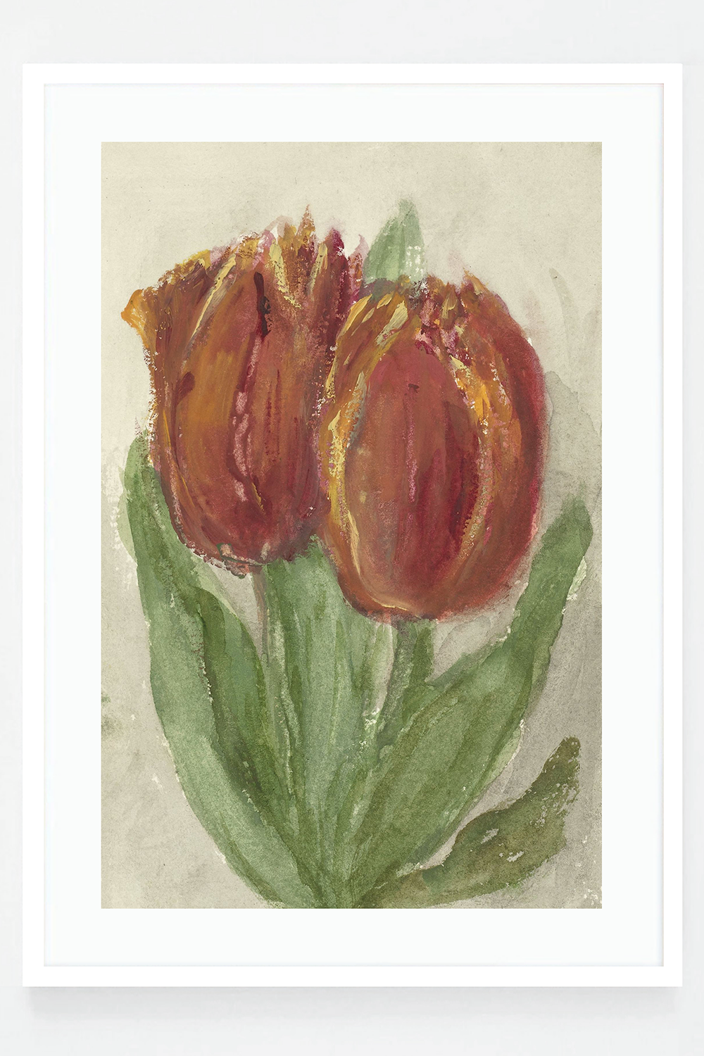 Tulip
