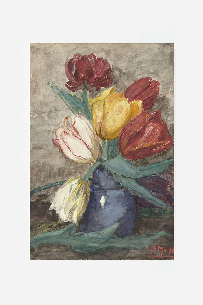 Tulip in a vase