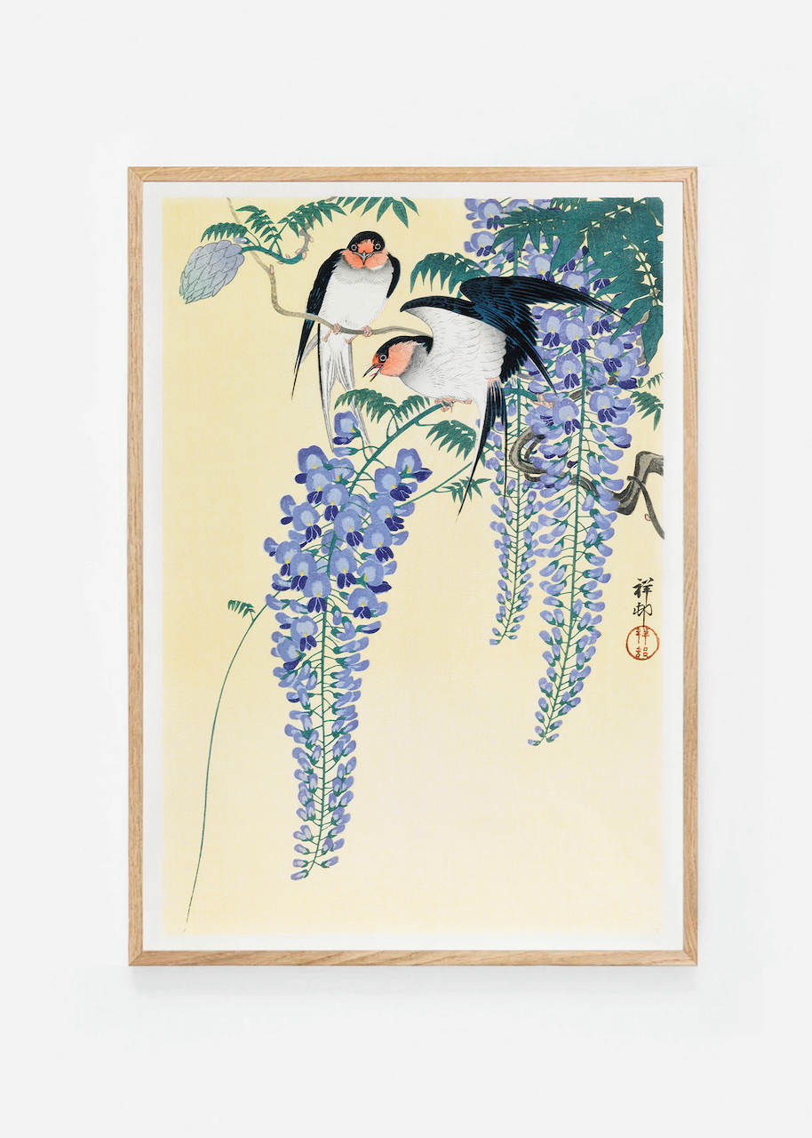 Two swallows and wisteria