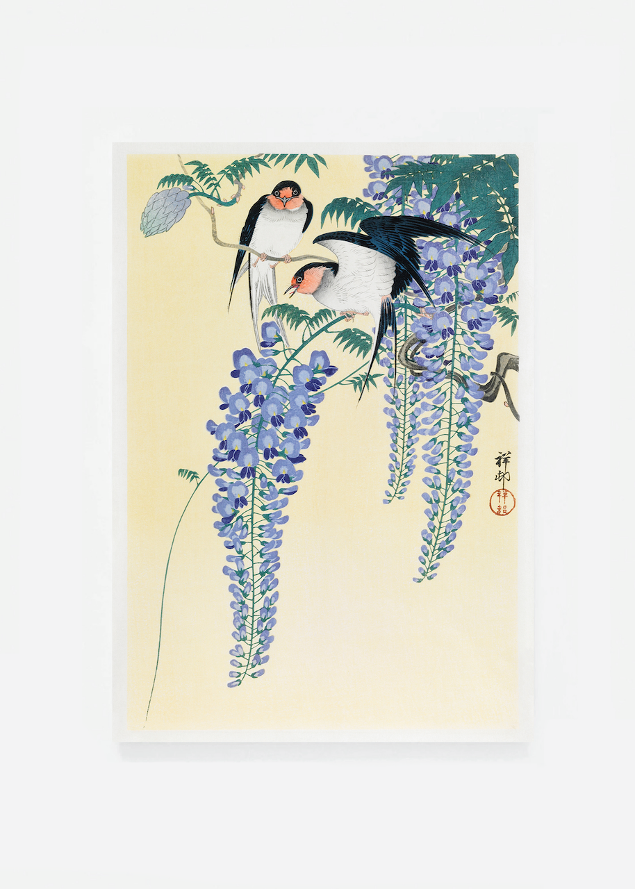 Two swallows and wisteria