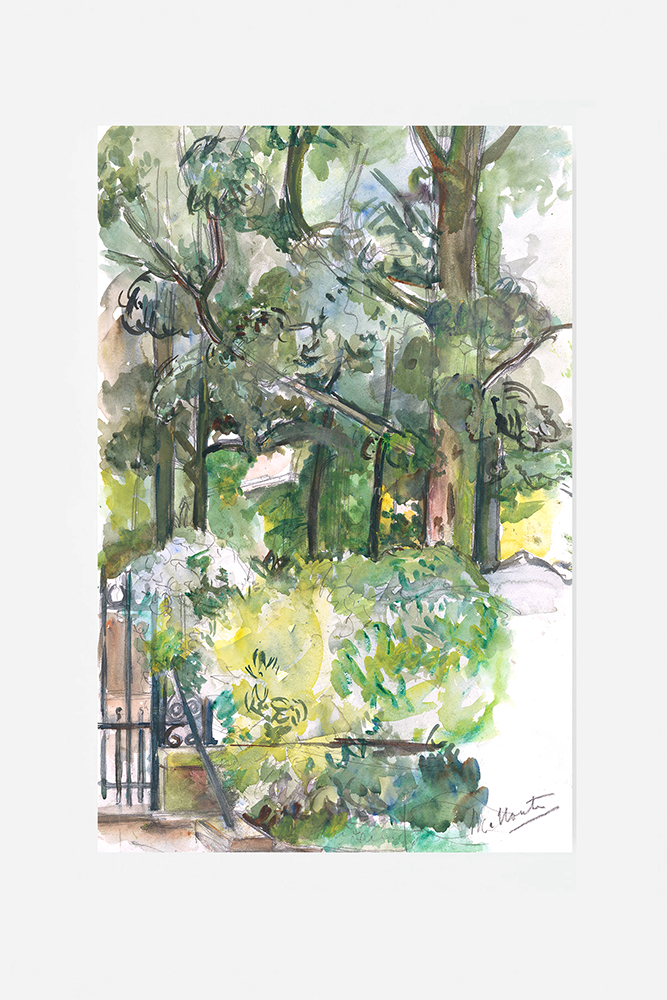 View in garden