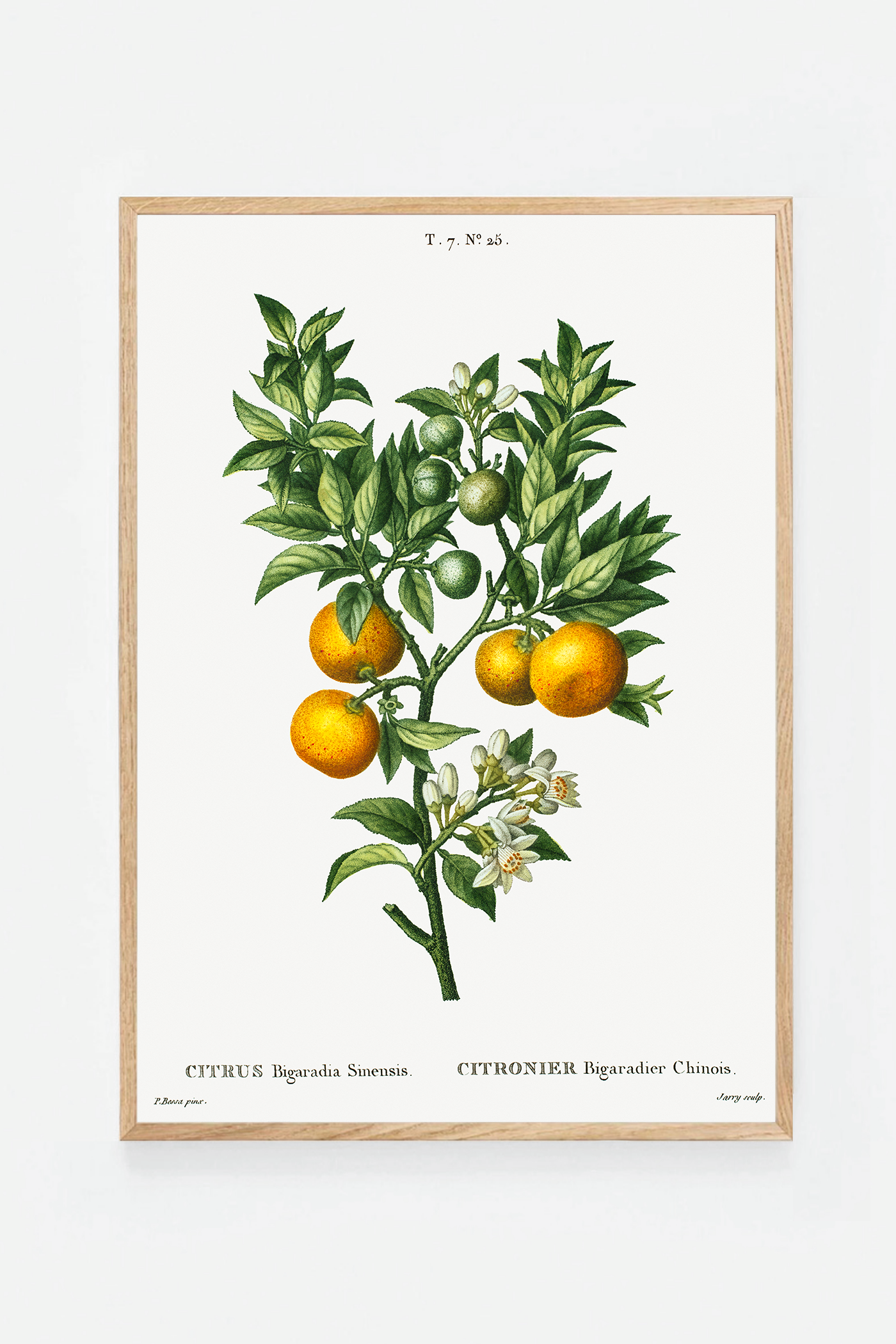 Citrus