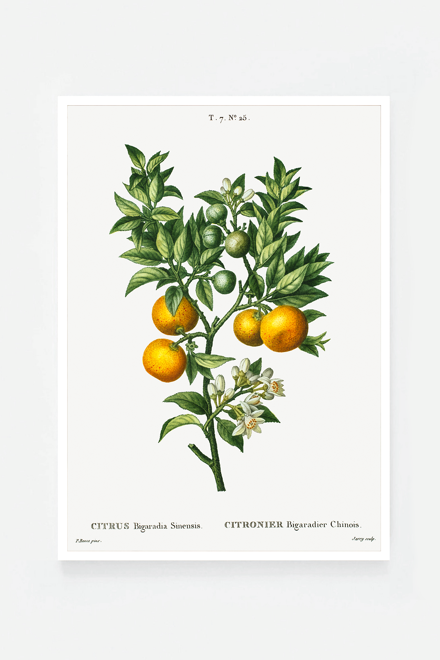 Citrus