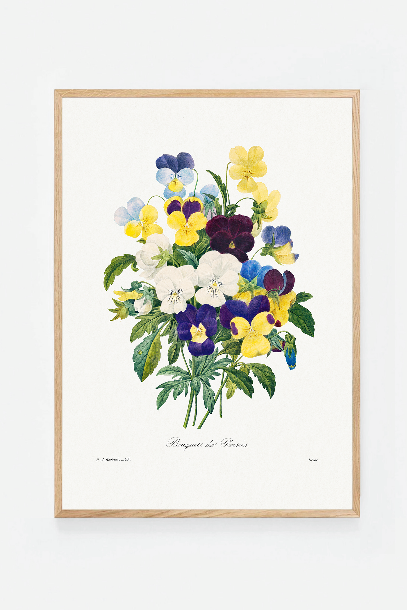 Pansies