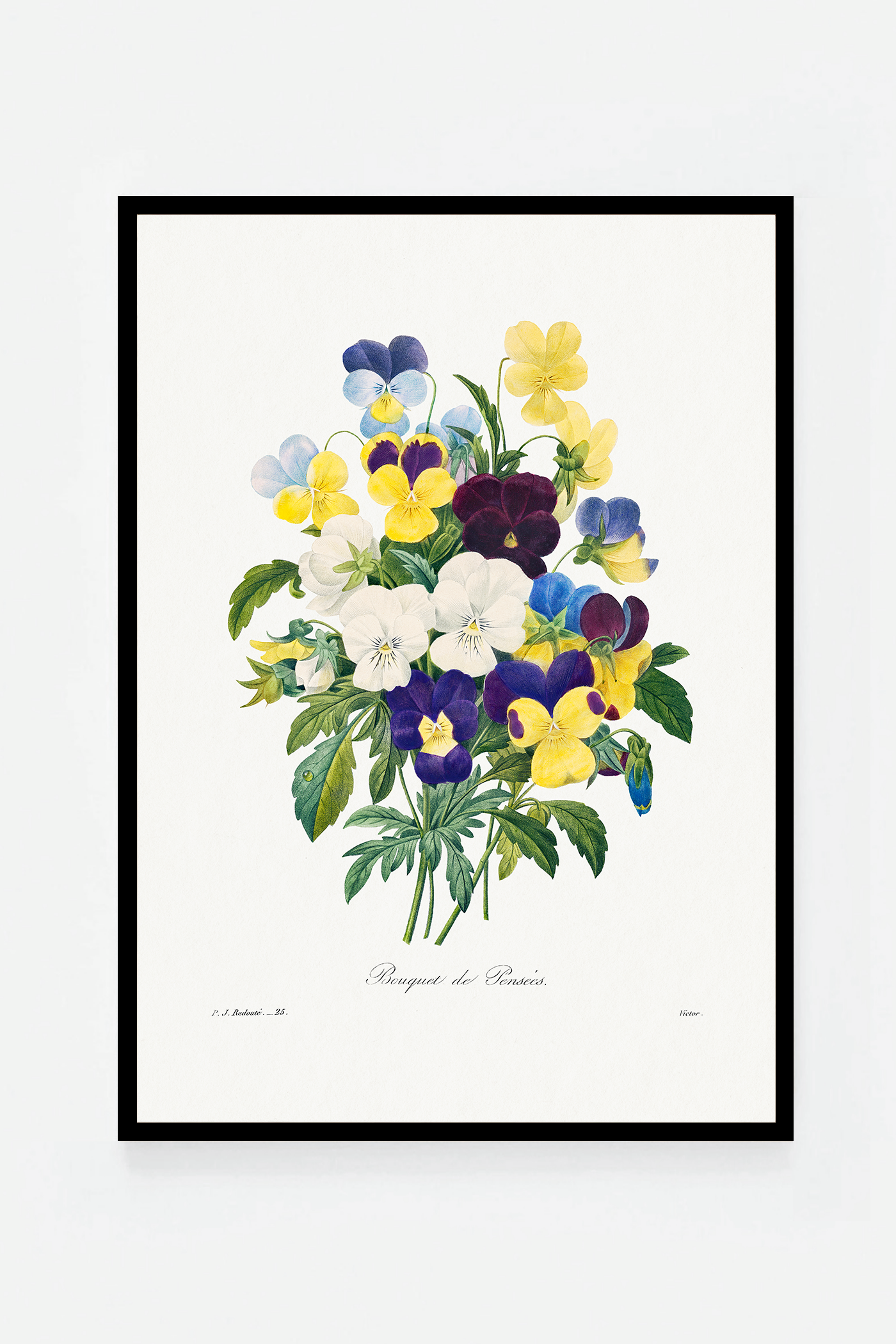 Pansies