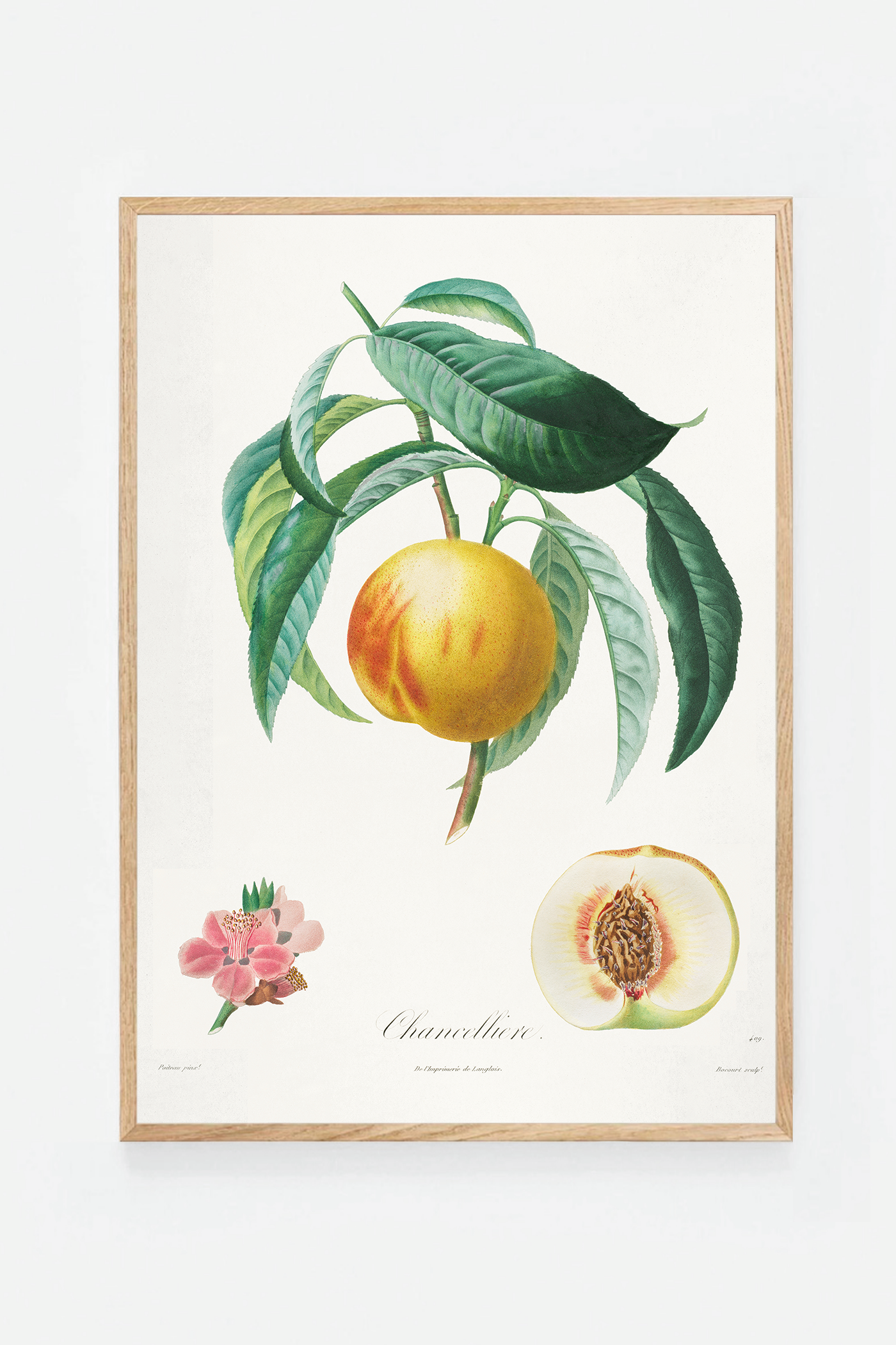 Peach II