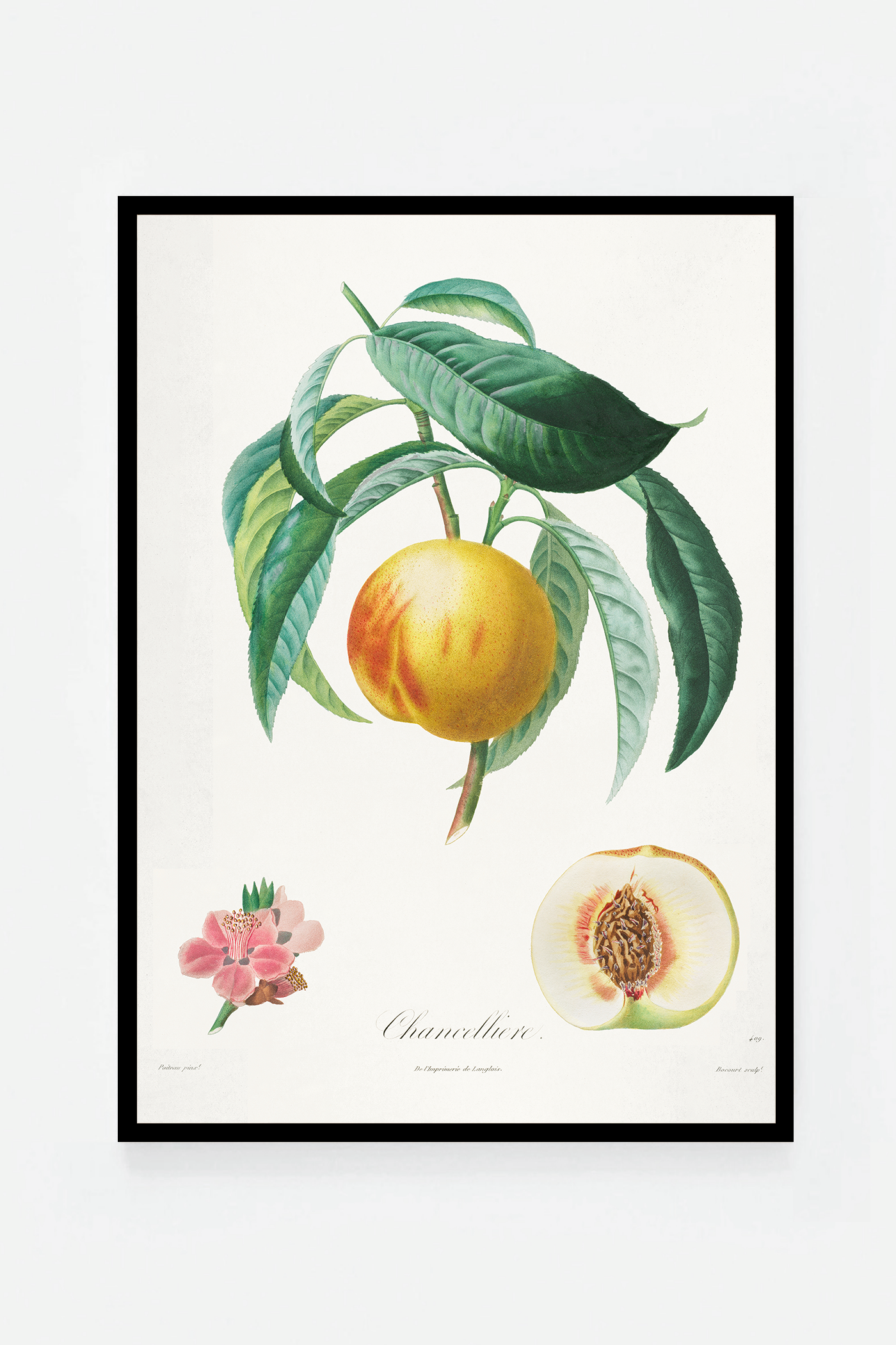 Peach II