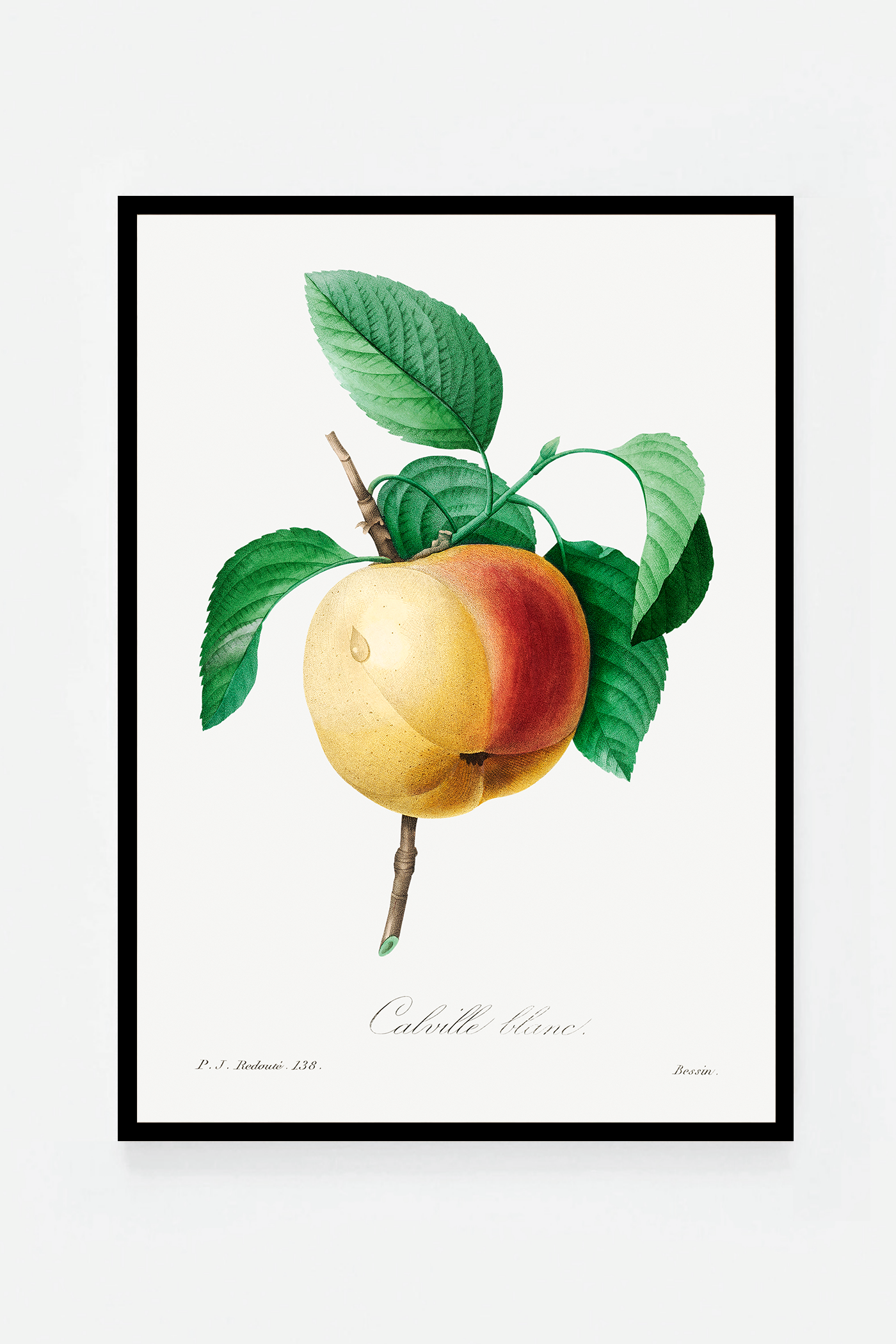 Peach