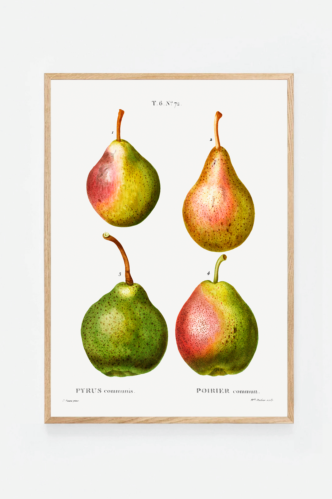 Pear