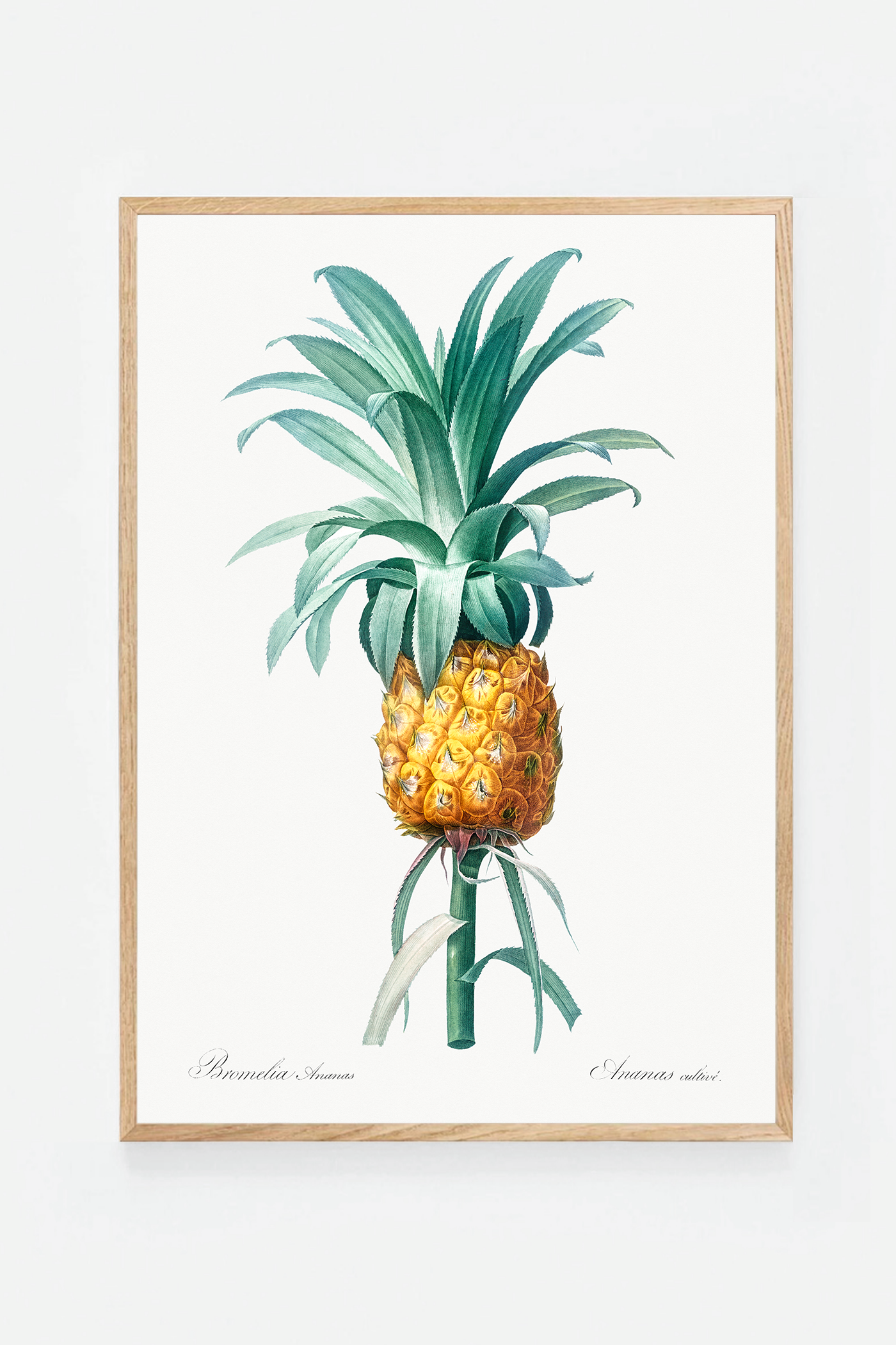 Pineapple
