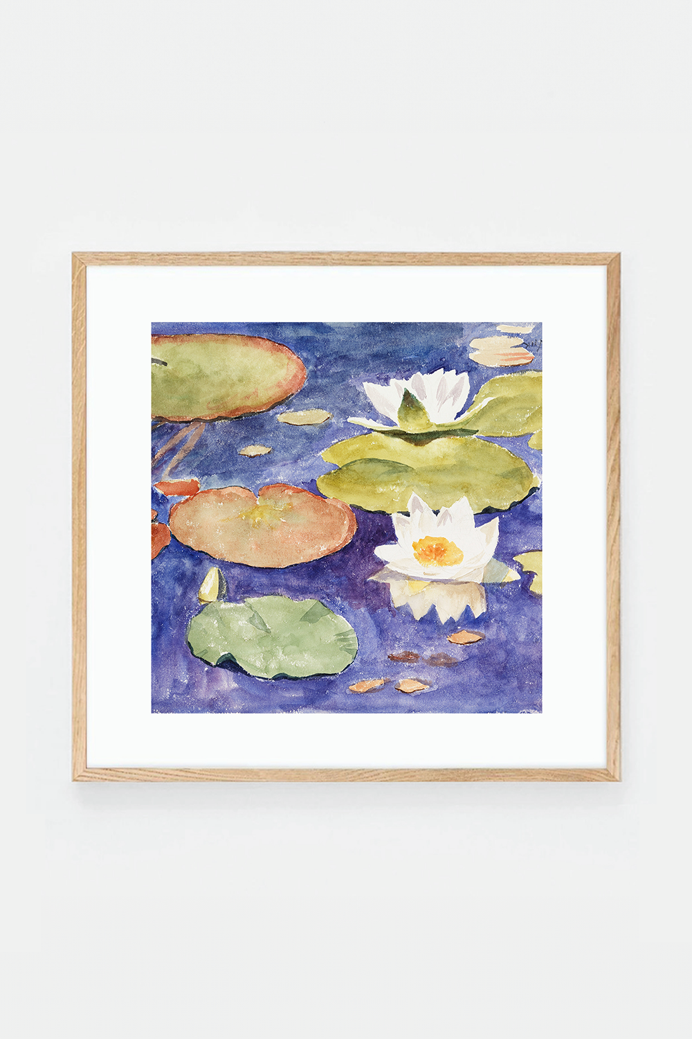 Waterlilies in the water