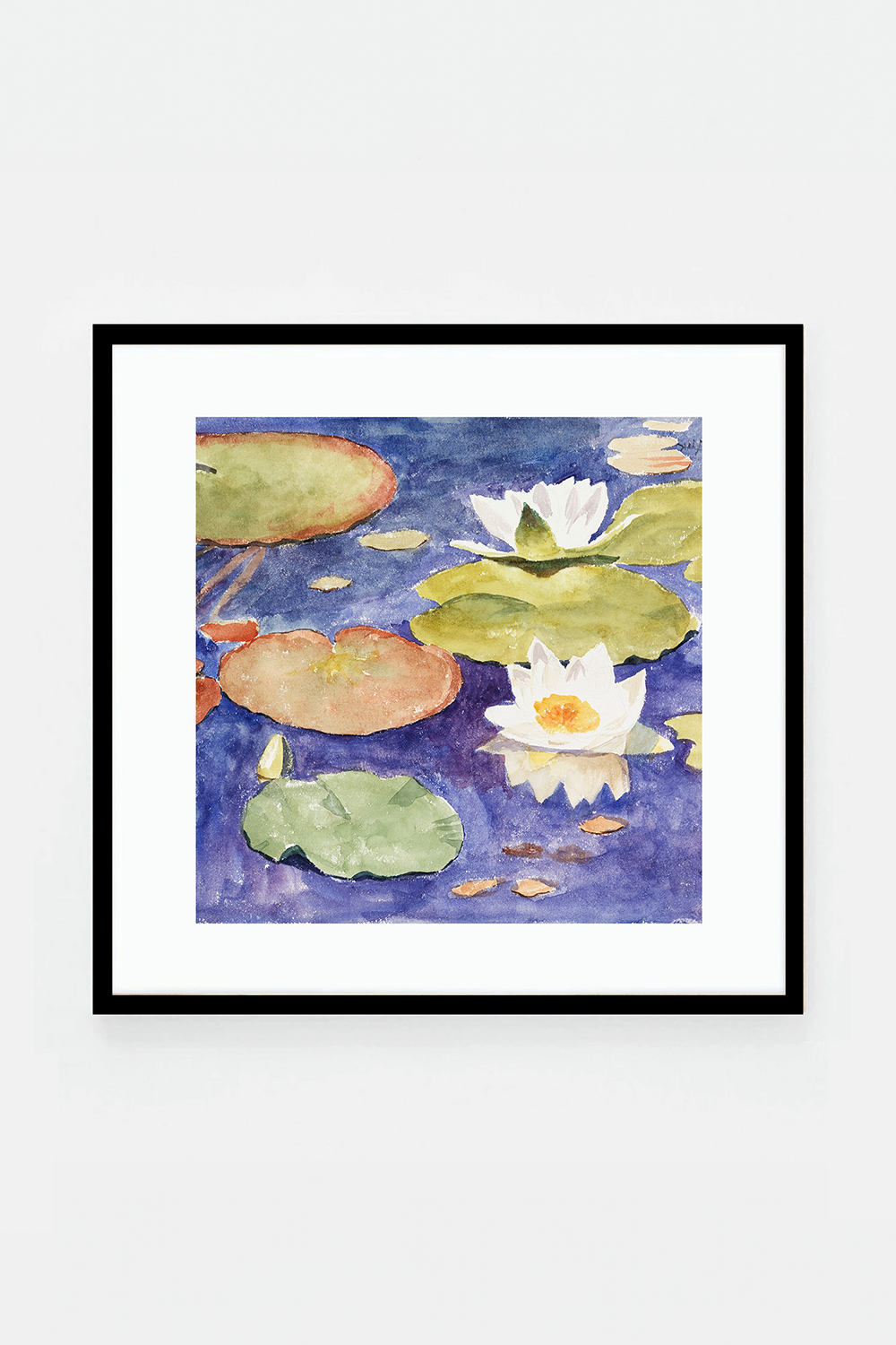 Waterlilies in the water
