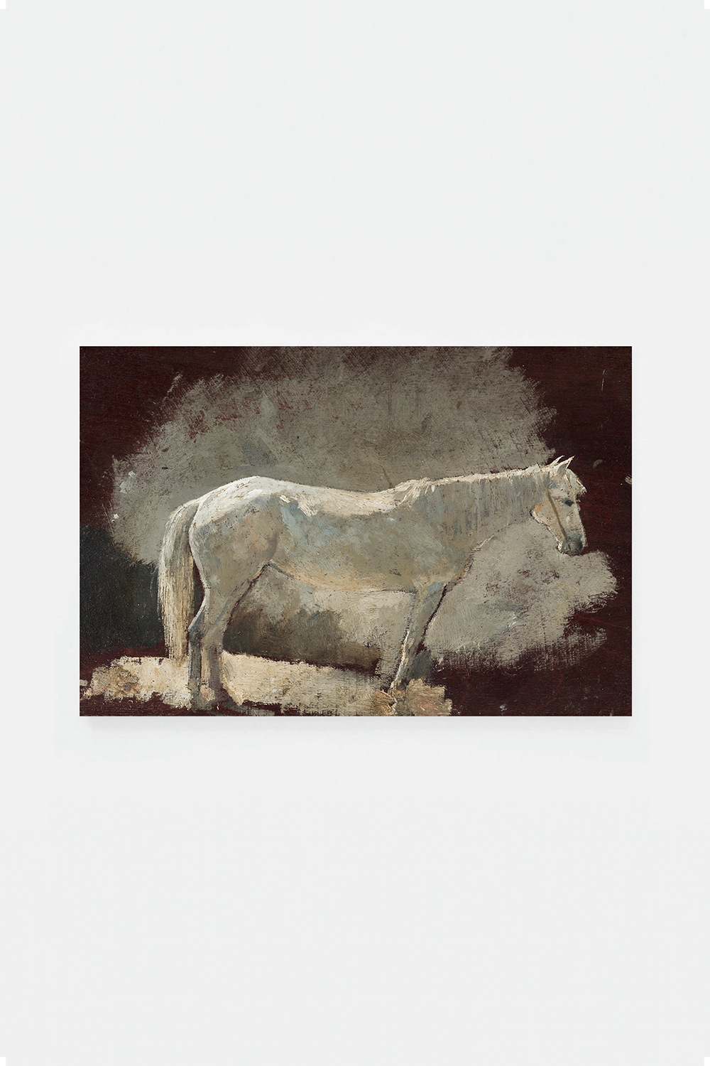 White mare