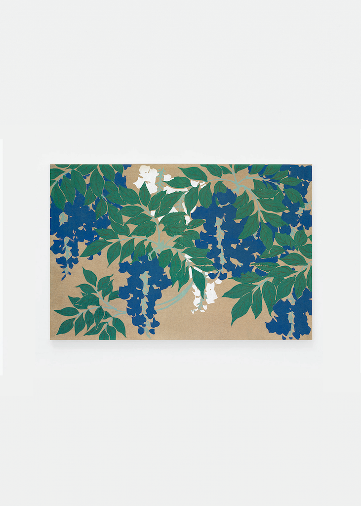 Wisteria